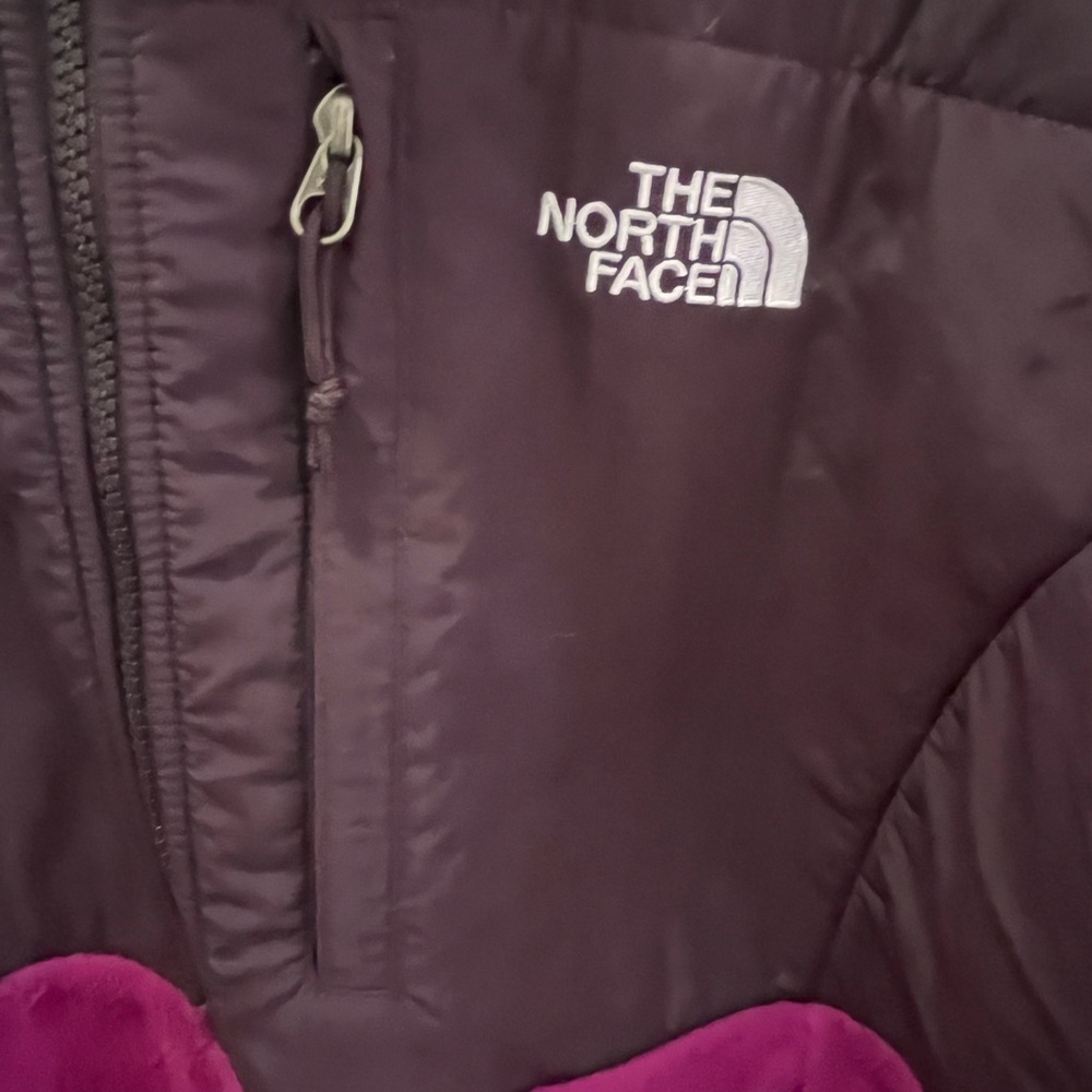 Purple and Brown The North Face jacket